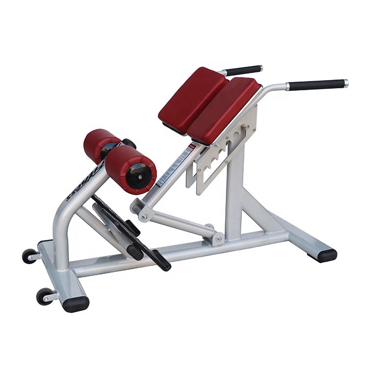 Sports Equipment In School - Unisex Romeinse stoel, verstelbaar, van staal,
